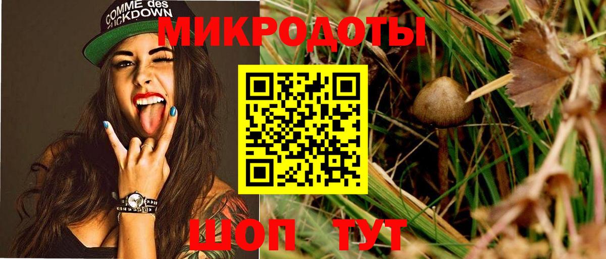 Галлюциногенные грибы Psilocybine cubensis Вышний Волочёк