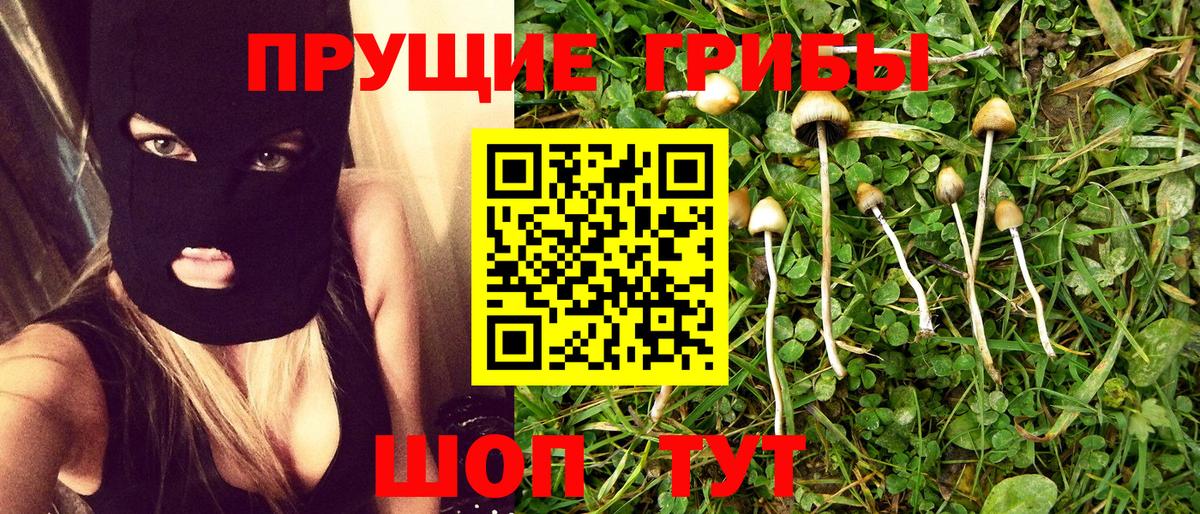 Псилоцибиновые грибы MAGIC MUSHROOMS  Вход с VPN  Вышний Волочёк  магазин  наркотиков  Псилоцибиновые грибы Cubensis 